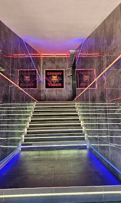 Cheeky Tiger Randburg stairway